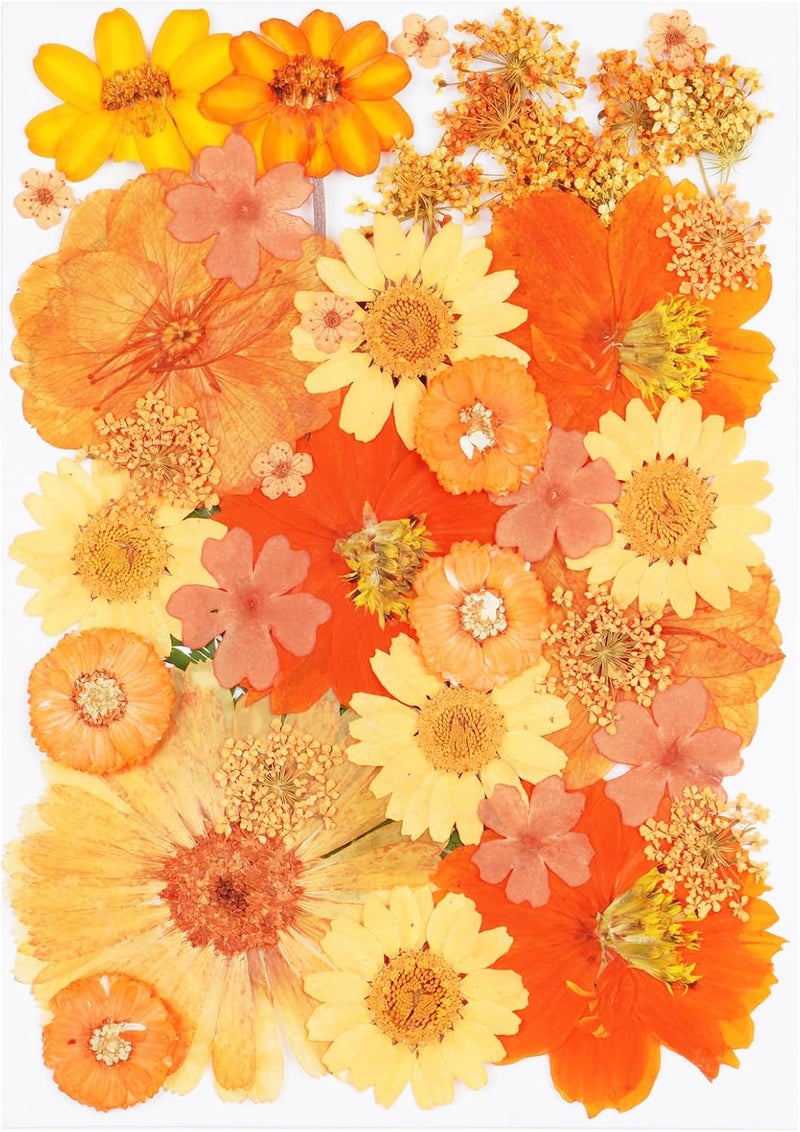 Xinxinran 40Pcs Orange Dried Pressed Flowers for Crafts, Dry Flowers Kit for Resin Molds,Epoxy Resin Accessories,Bookmark,Nails, Jewelry Molds,Candle Making Supplies,Soap,Frame,Cakes - Image 1